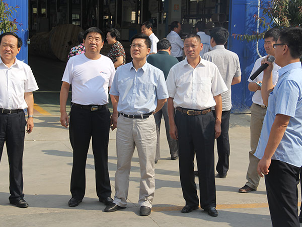 邢台市市长孟祥伟到恒峰g22线缆集团视察
