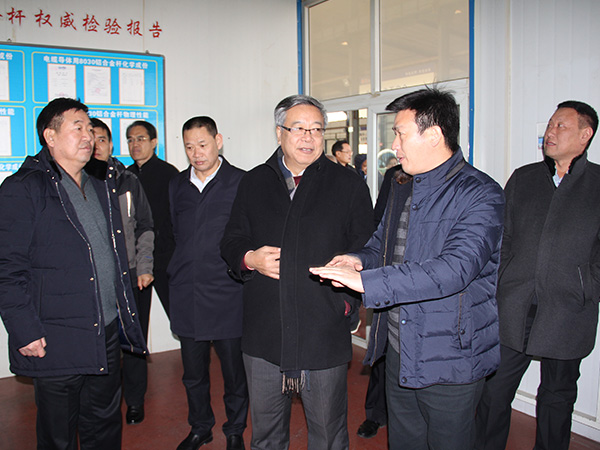 2018年1月11日，，，，，邢台市人大常委会副主任周世伟带领省、市人大代表集中视察第五组到恒峰g22线缆集团进行视察