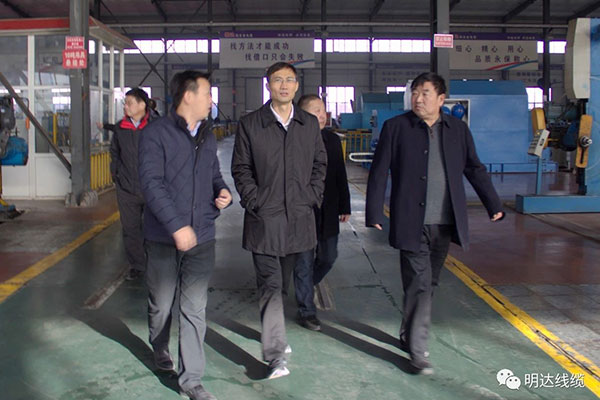 省市场监管局局长金洪钧调研恒峰g22