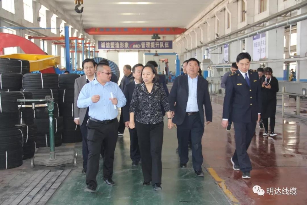 河北省市场监管局党组书记丁锦霞莅临恒峰g22考察调研
