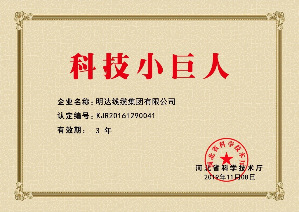 恒峰g22线缆被认定为河北省科技小巨人企业