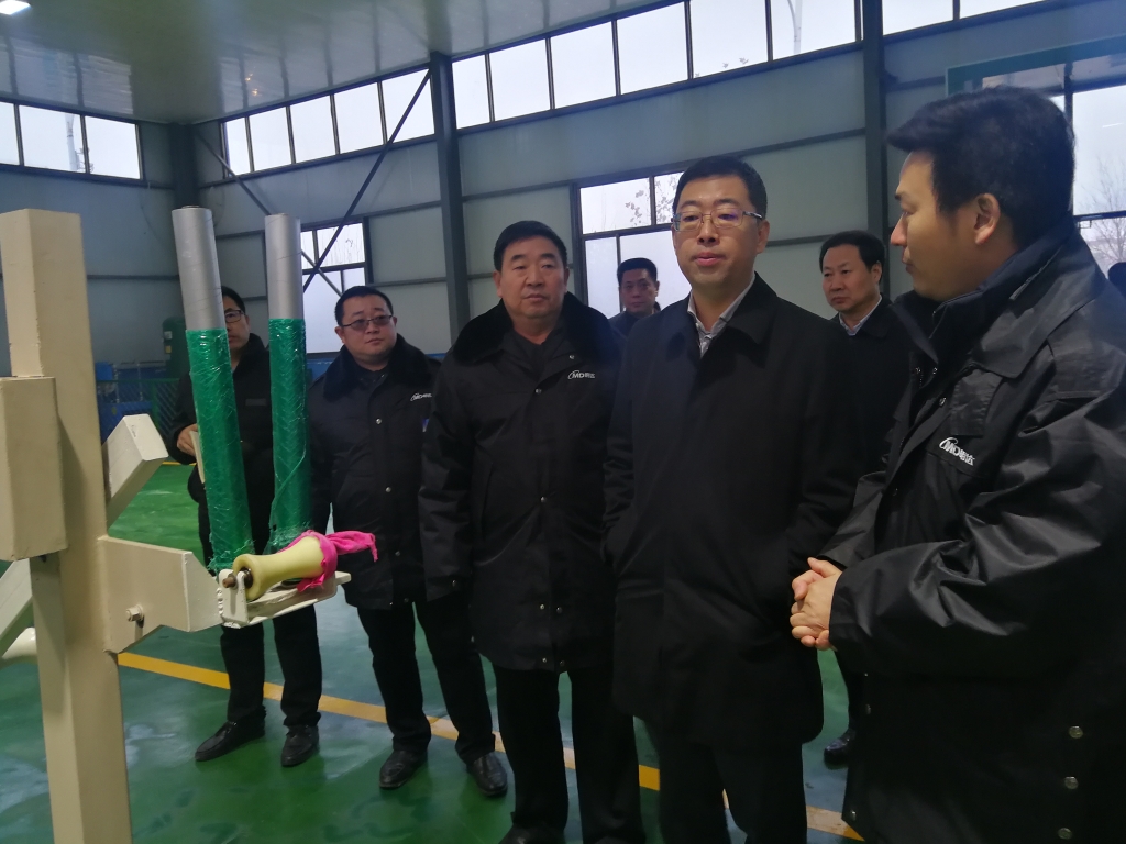 河北省副省长葛海蛟到恒峰g22集团调研
